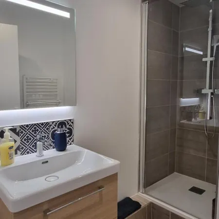 Chambres Avec Sdb Privative Dans Appartement Partage Toulouse Exterior photo